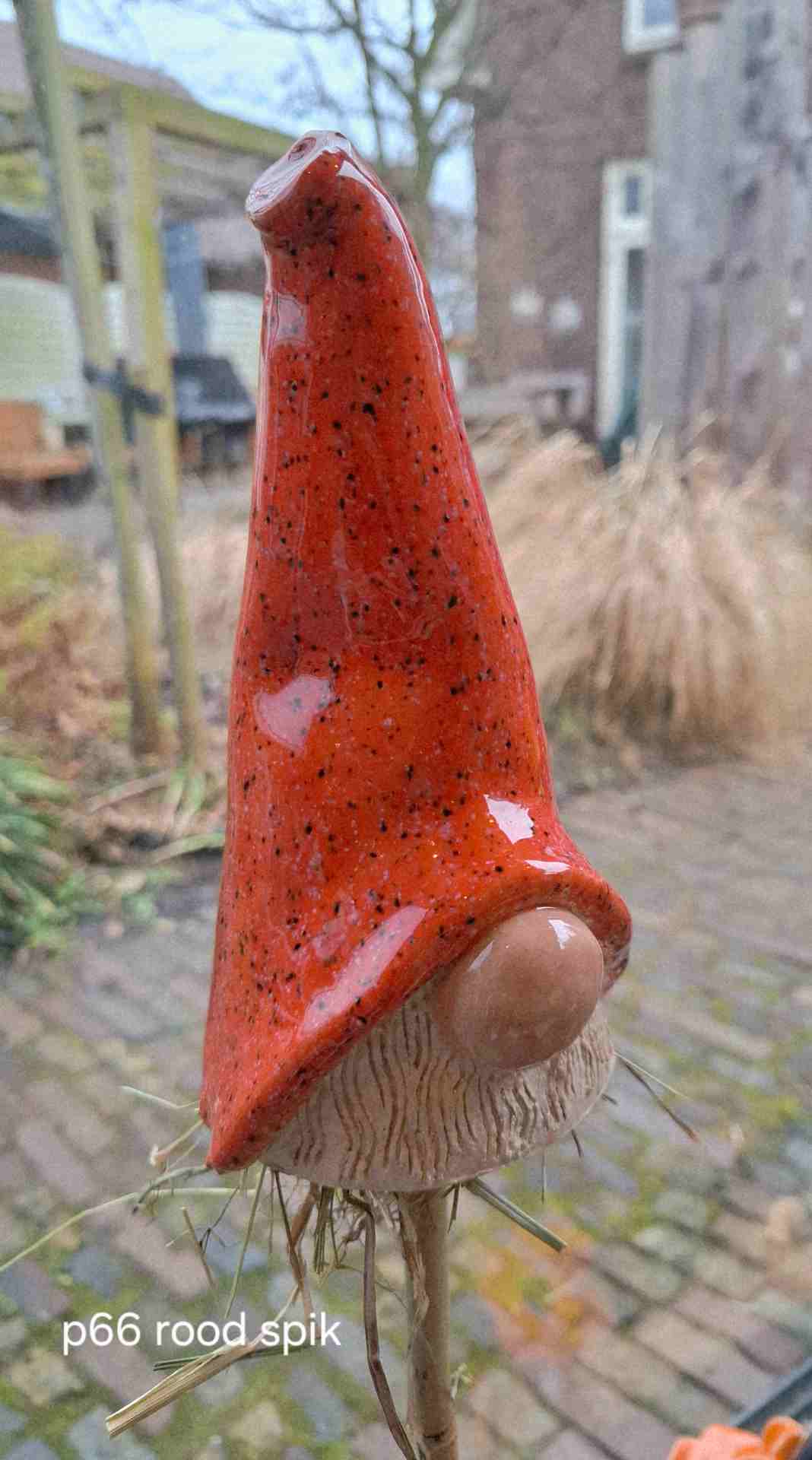 puntmuts p 66 puntmuts p 66