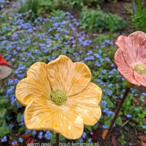 Oost Indische kers warm-geel