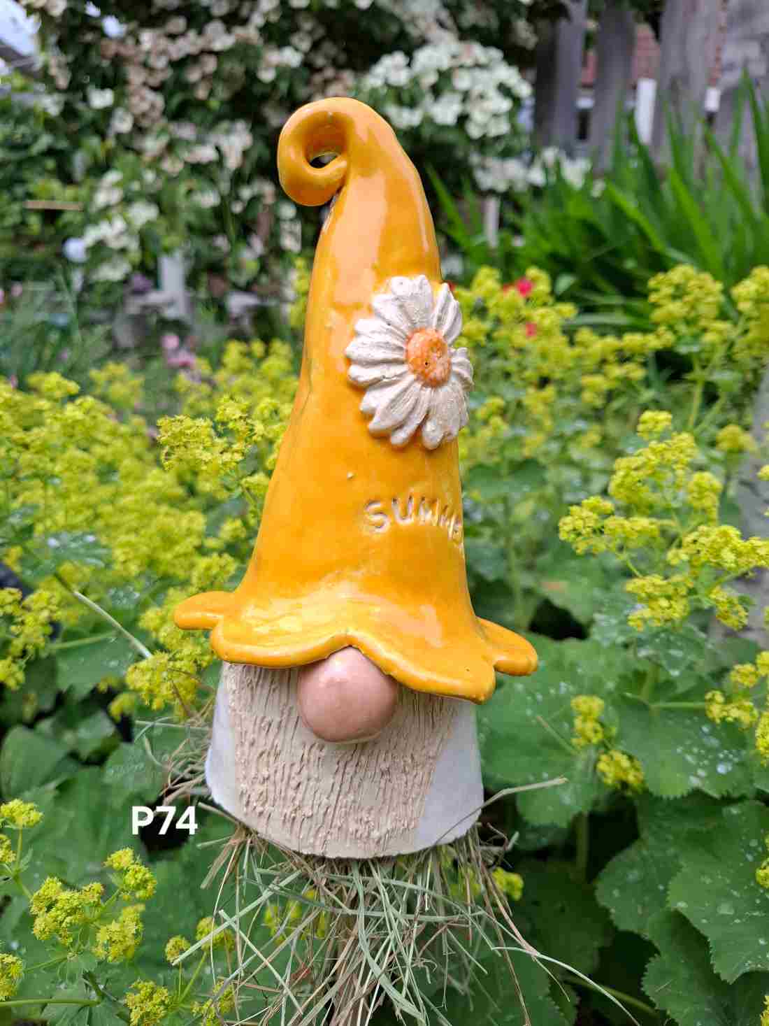 geel p74 geel p74