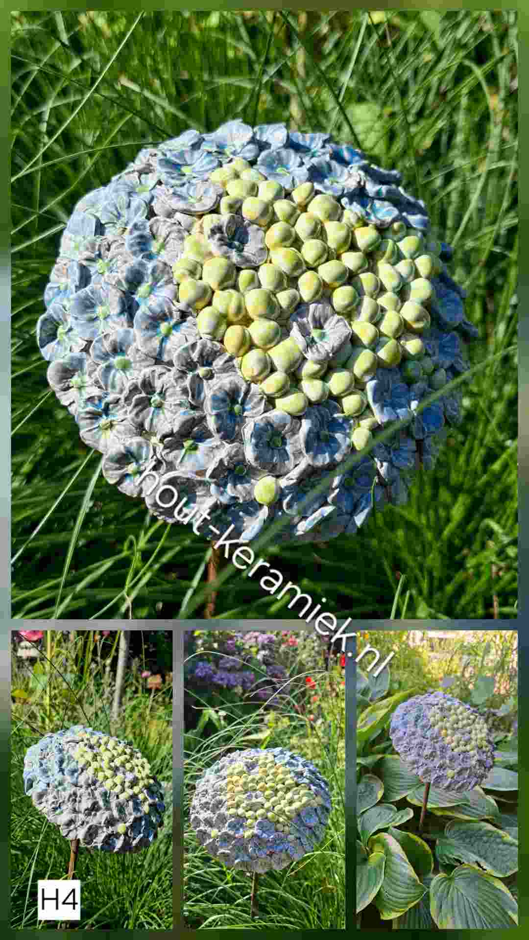 hortensia H4 hortensia H4