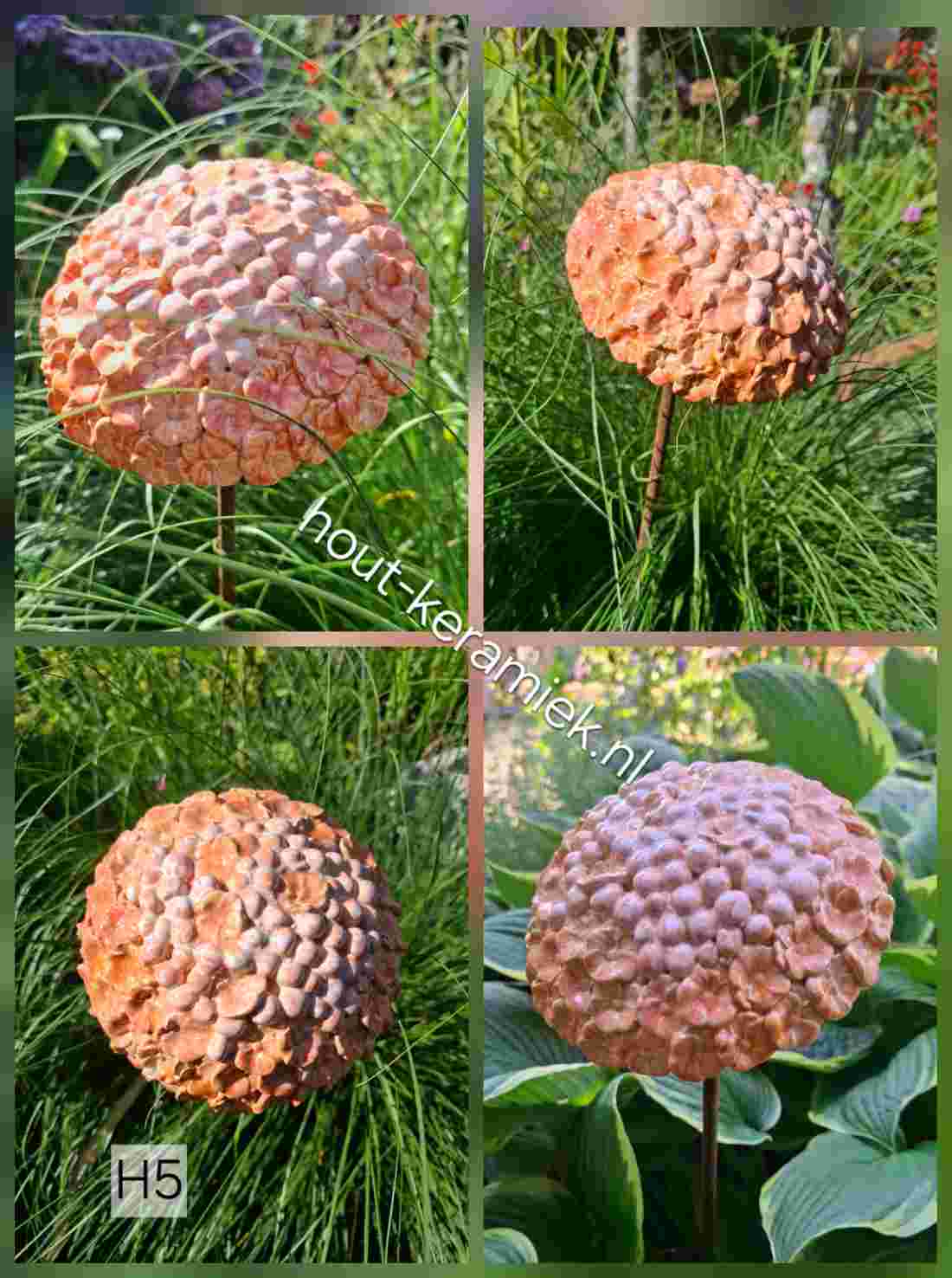 hortensia H5 hortensia H5