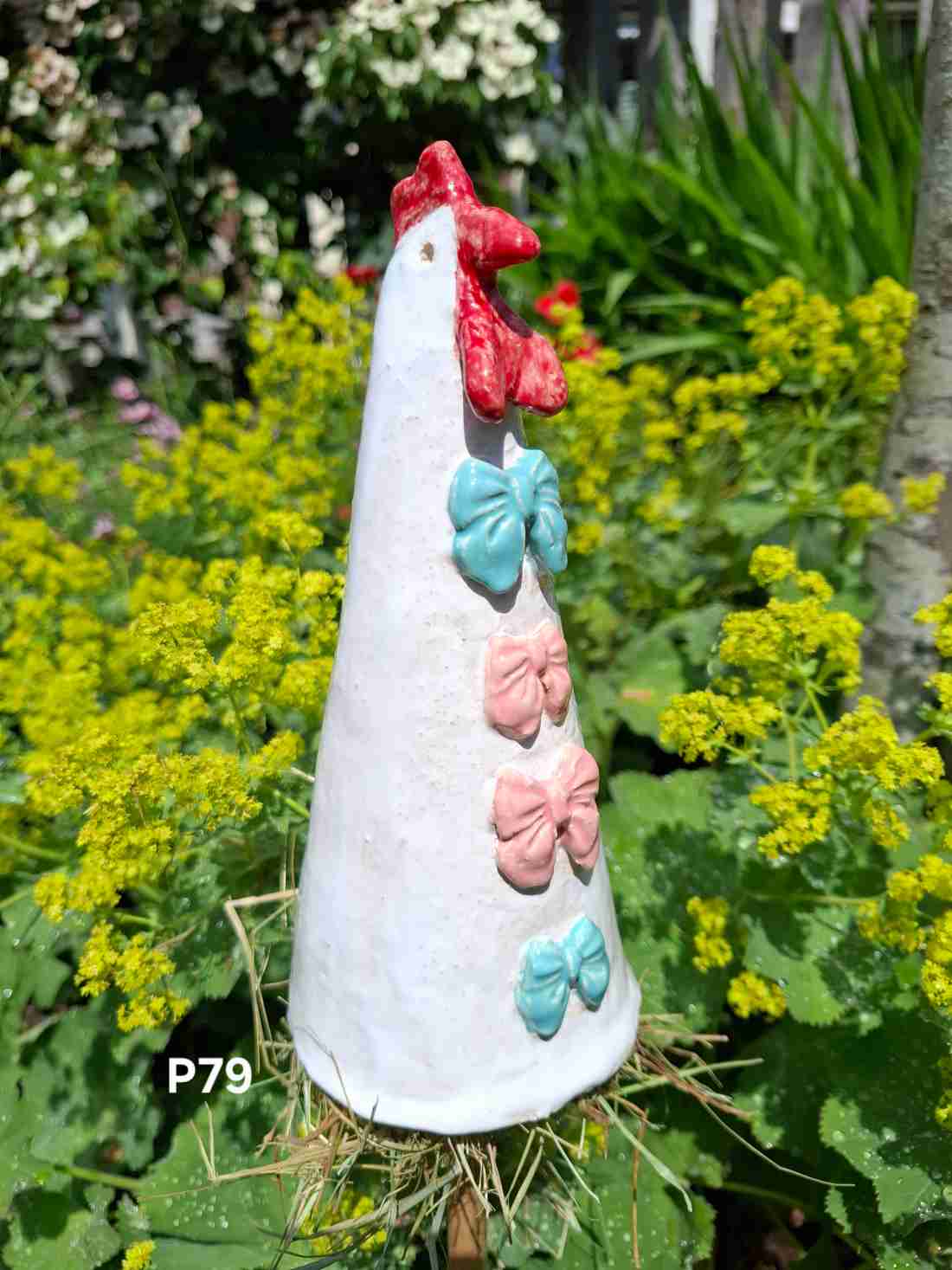 kip p79 kip p79